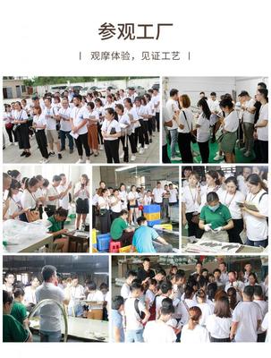 蛻變季 米蘇燈飾M6+超級盈利系統第六期特訓營順利閉營，文化經紀人服務賦能行業新生態